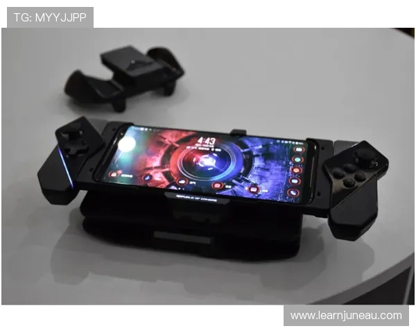 尊龙网赌怎么样帮助新手玩家快速上手并获得良好游戏体验的方法