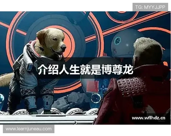 尊龙人生就是博登录：成功玩家的经验分享与实用策略